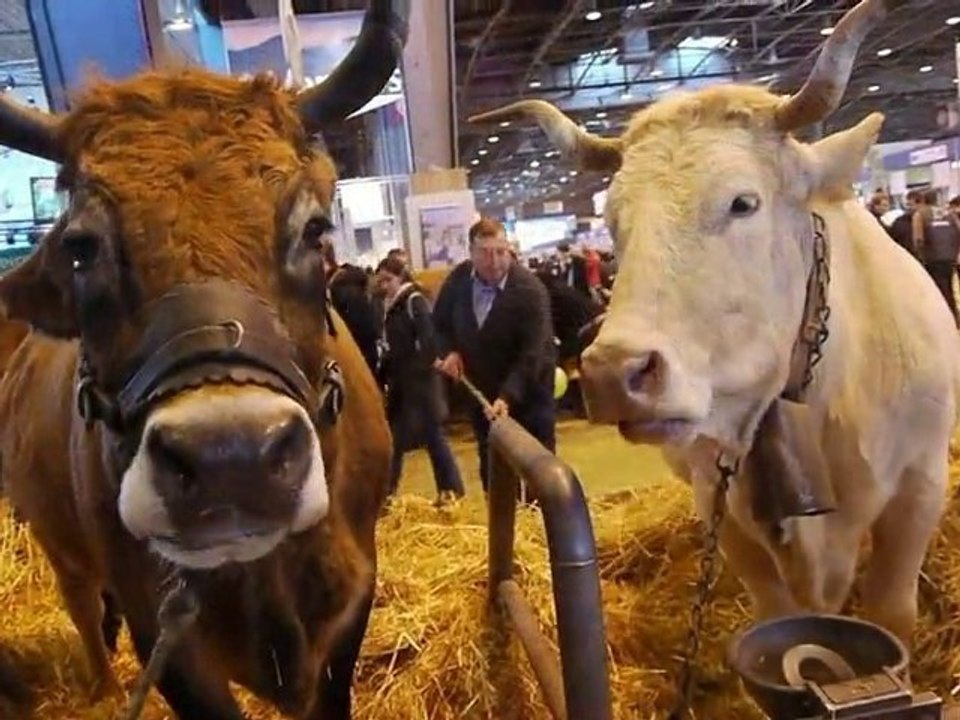MYRTILLE au Salon 2010