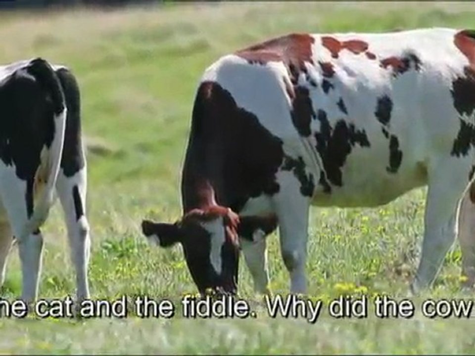 the cow jumped over the moon