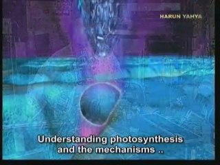 2. The Factory That Manufactures Vital Energy