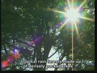 5. The Fine Details in the Factory