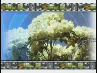 6. Pores A Flawless Creation