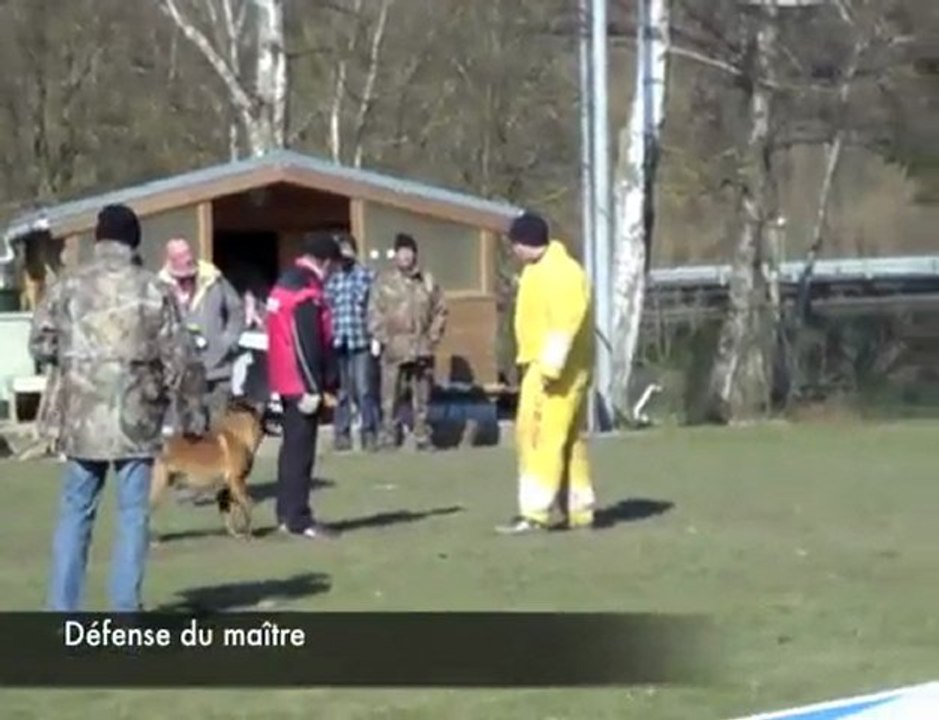 Maubeuge : concours de chiens d'utilité