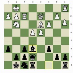 Aaron Nimzowitsch; Not Pawns, Pieces 2