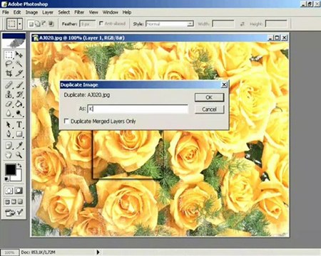 ders 1 bir resmi çoğaltmak