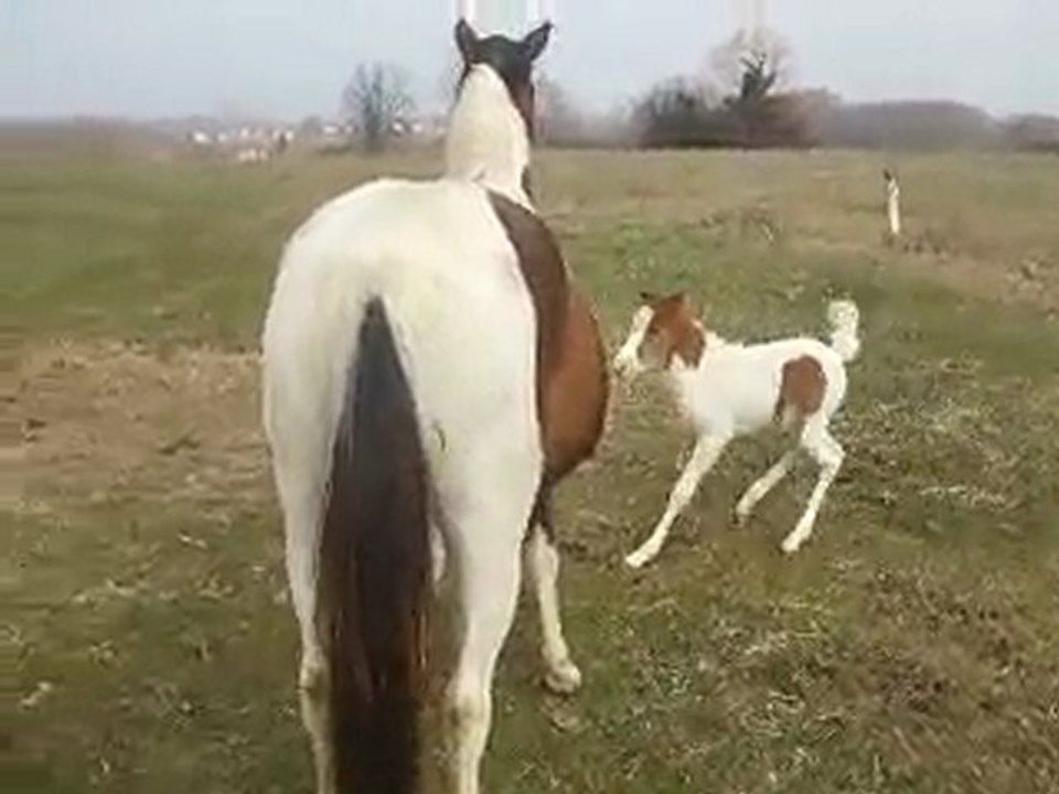 première sortie110310 015