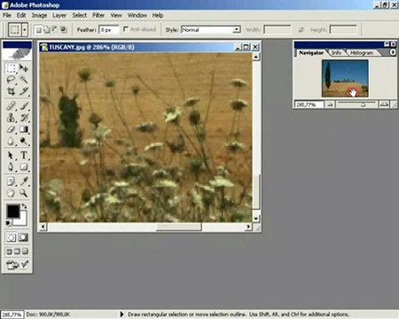 ders 1 resmi büyültmek için navigatör paletini kullanmak