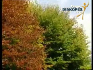 Η Ιστορία της Μαγνησίας Πήλιο Κενταυροι