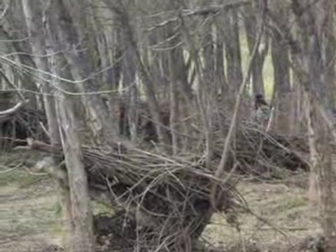 Despedidas de solteros (Logroño La Rioja)