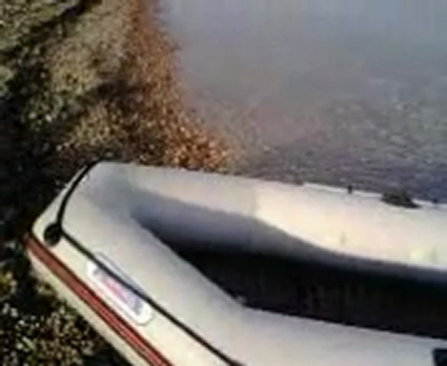 bot video