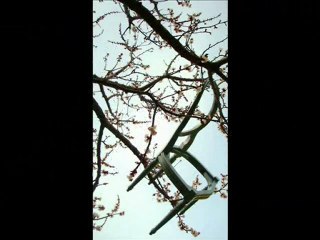 Conte de fée, pour une chaise en bois.