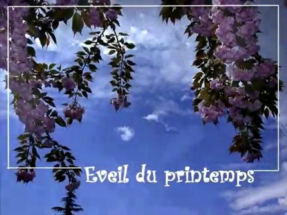 Eveil du printemps