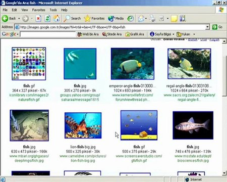 ders 2 dosya kopyalamak için panoyu kullanmak
