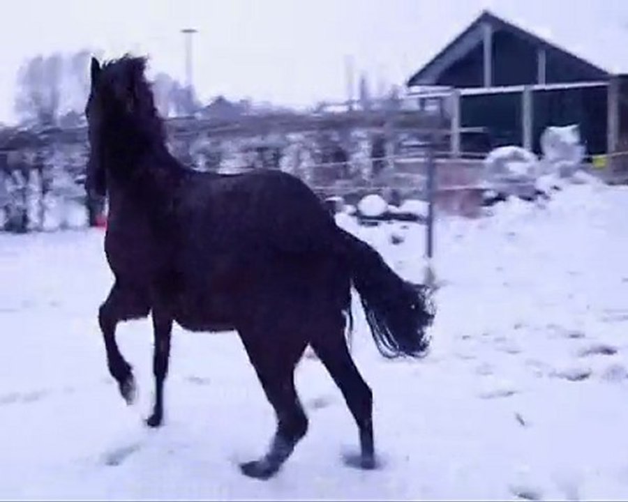 ulrika150210