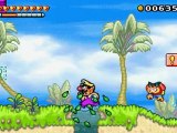 Walkthrough Wario Land 4 (17) : Palm Tree Paradise
