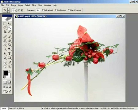 ders 3 aynı rengin kullanıldıgı alanları seçmek