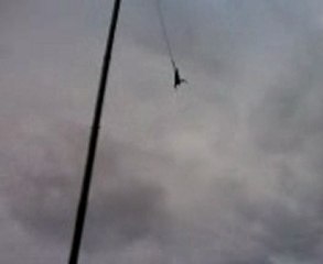 Julien saute à l'élastique !