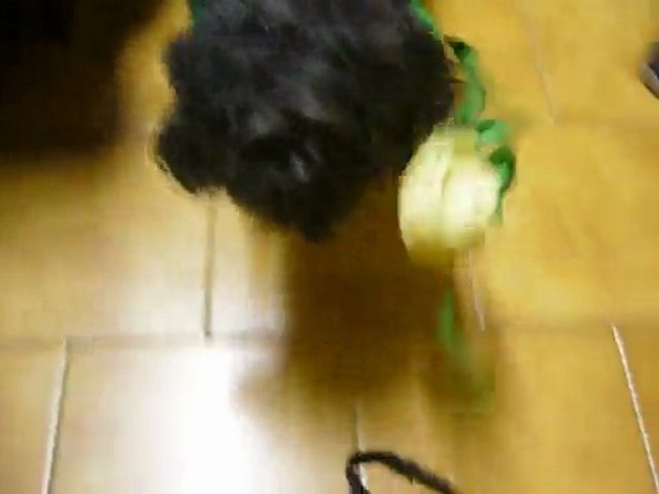 freya et ses super chaussons qu elle adore