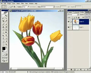 ders 3 nesne kenarlarını seçim alanı olarak belirlemek
