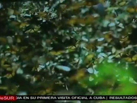 Presentan exposicion fotográfica México en tus sentidos