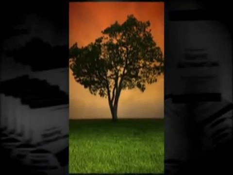 Traffic Ultimatum | Traffic Ultimatum Review