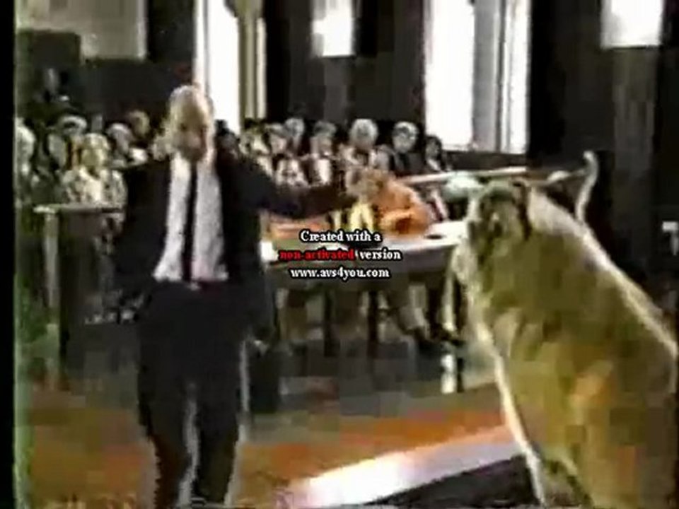 1992 Bingo TV Spot