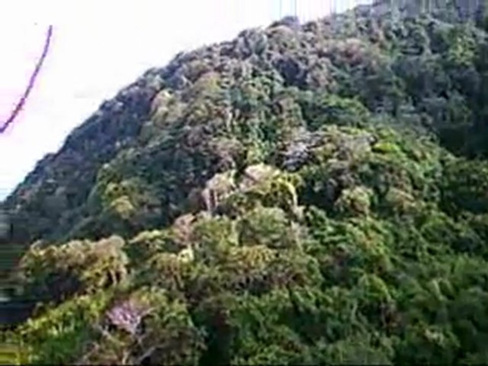 parapenter en guyane