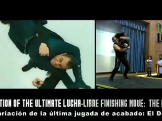 Scarlett Johansson in Iron Man 2 - Lucha Libre Acculturation