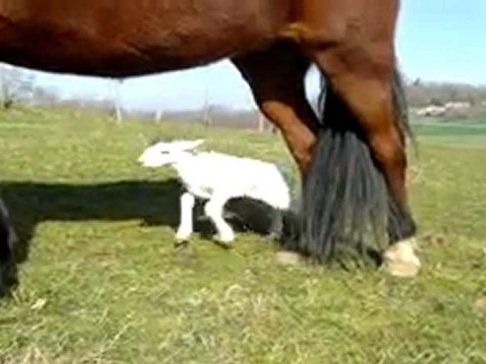 Princesse-Kiara et Sanka