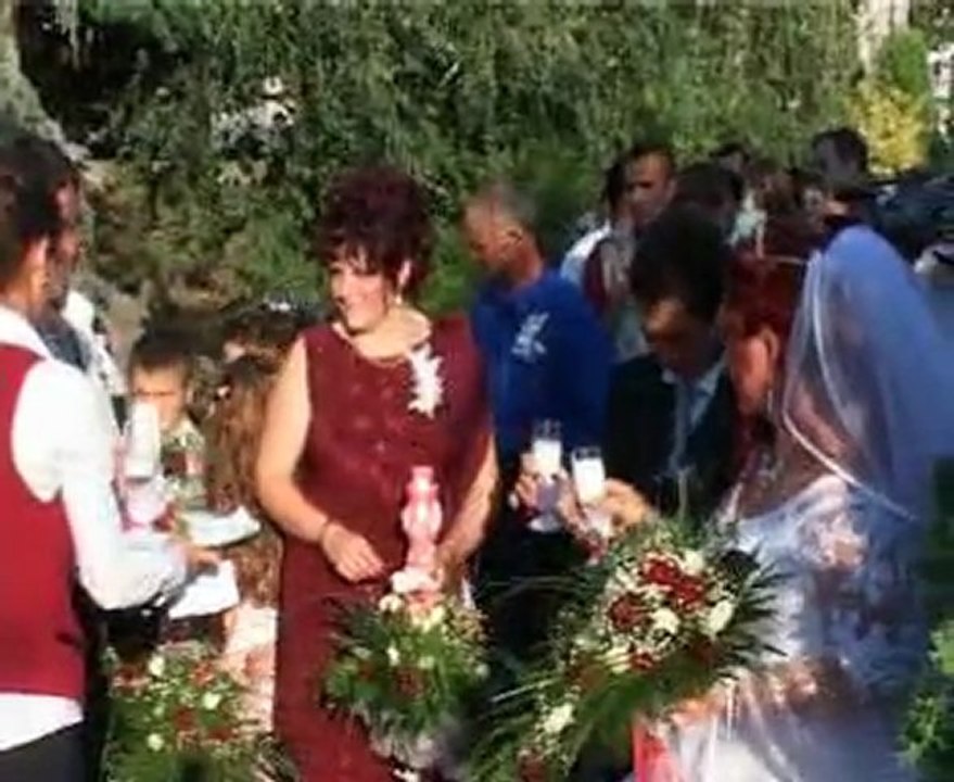 Nunta de Vis