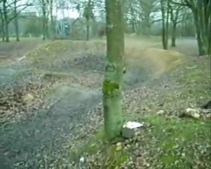 E Savage brushless Mega trip