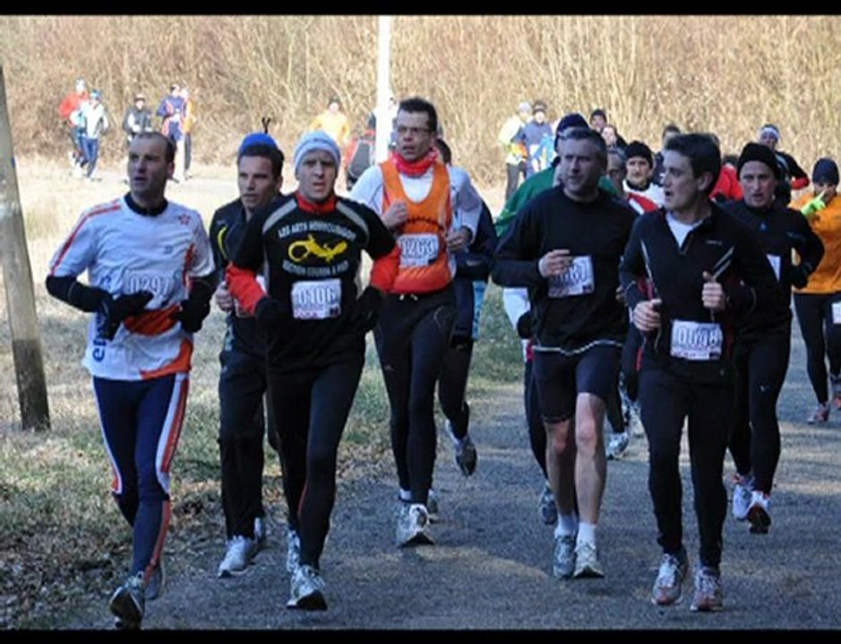 napatant 2010