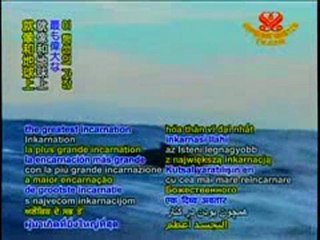 Message des baleines