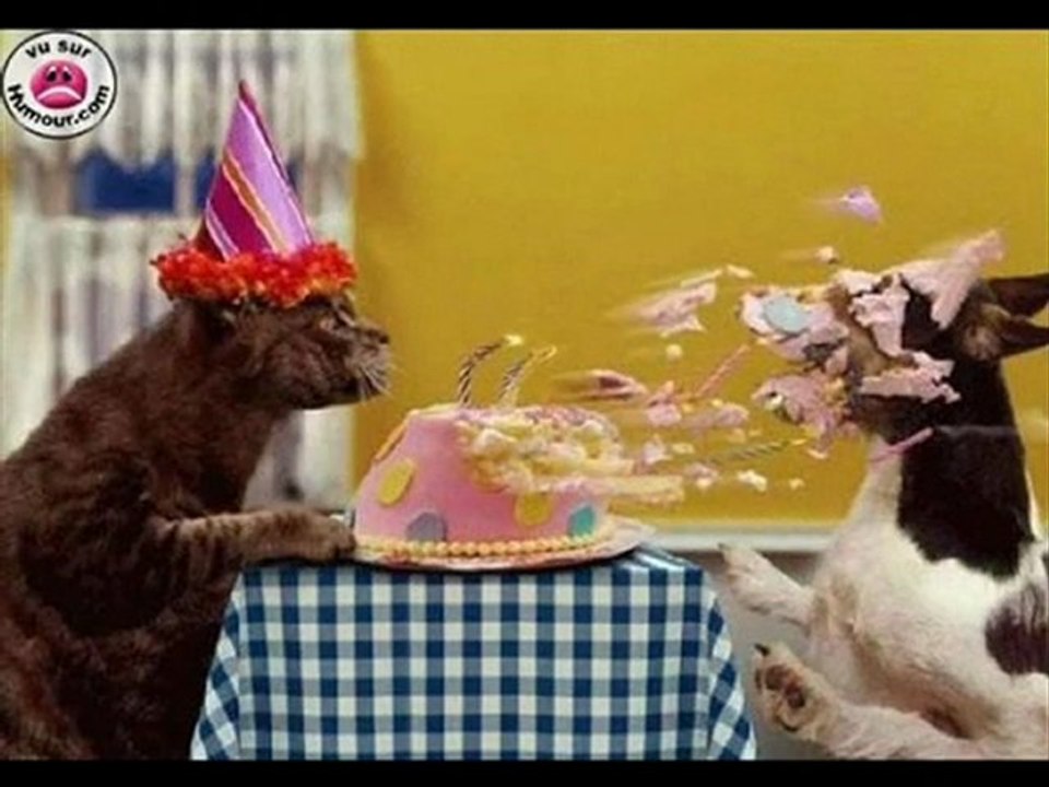 anniv chouet