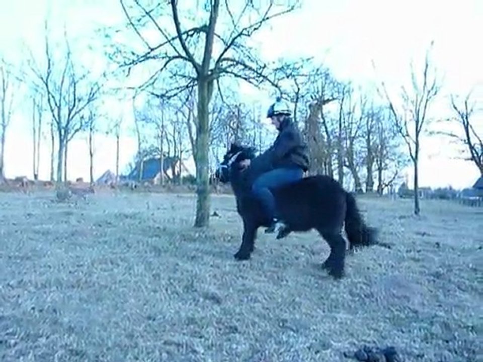 première monte sur Rocadour