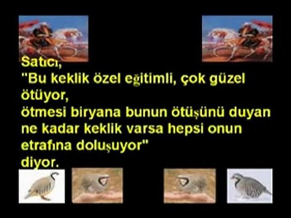 hikaye (kuş)