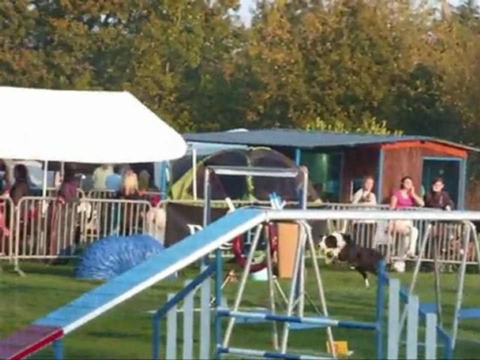 Concours Agility Thierry & Urf 27Septembre 2009 à St Nazaire