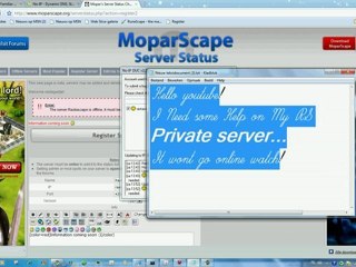 Help! my Runescape private server wont go online!