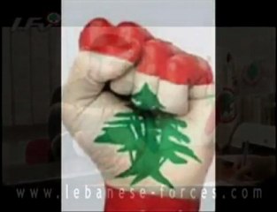 Video herunterladen: LEBANESE FORCES