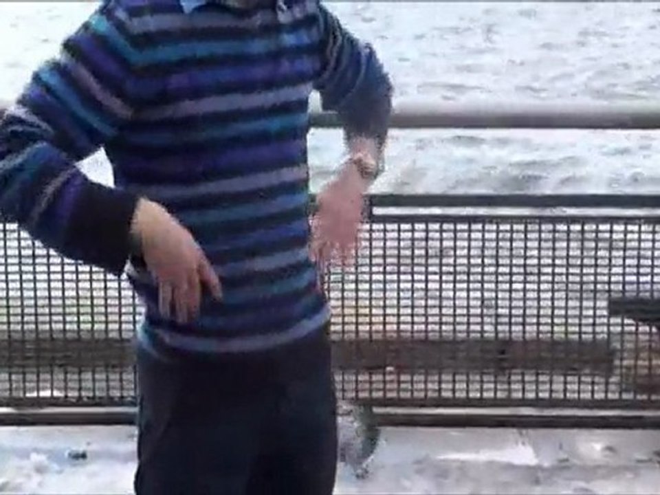 Magic in NYC