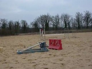 Isis et moi en carrière