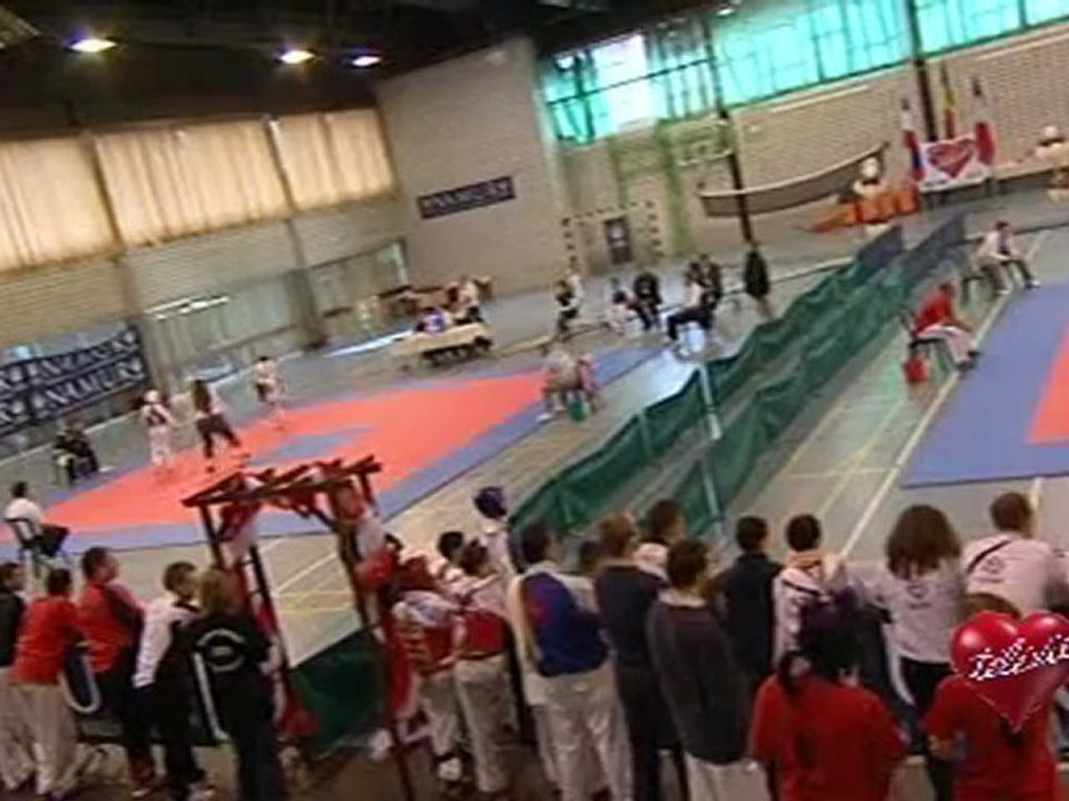 taekwondo televie 2010