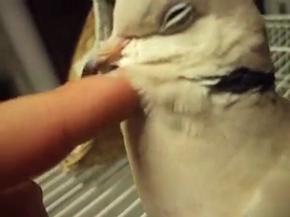 ronny fait un calin