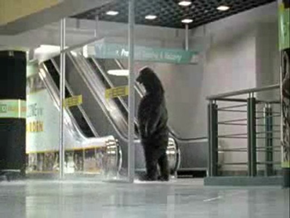 Bruins Hockey Rules - Escalator