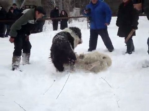 Изображение 754