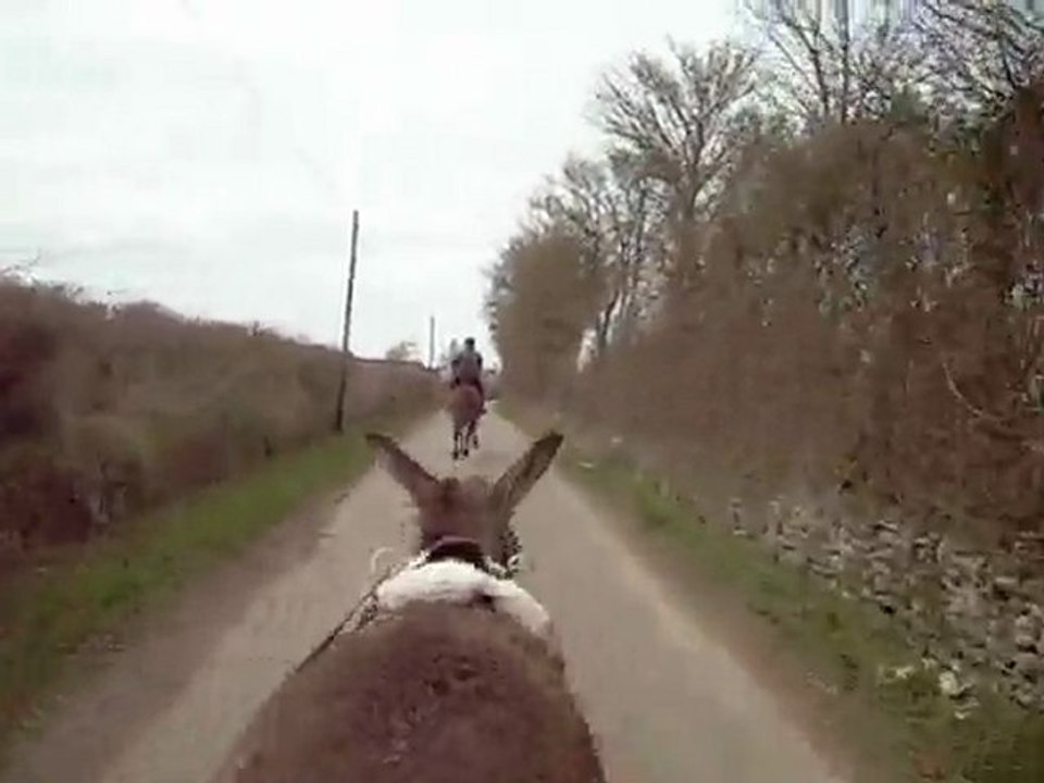 ballade en charette