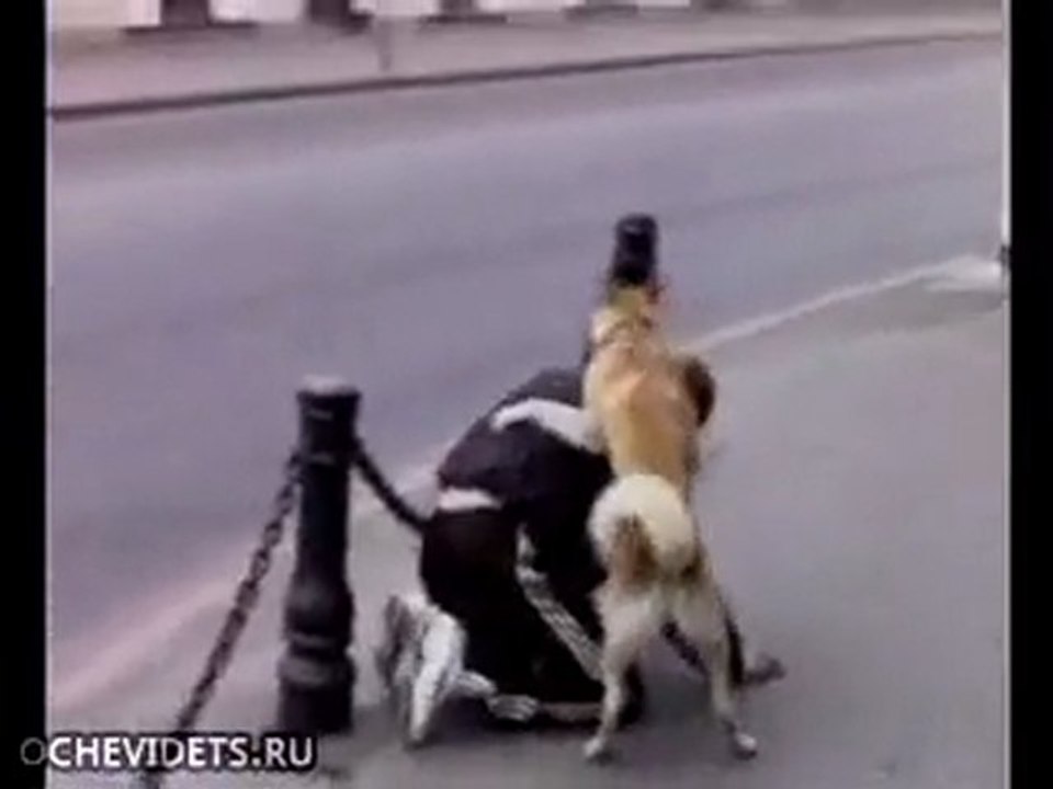 Il est bourré et son chien en profite