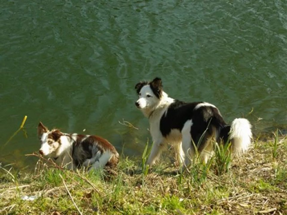 rencontre lena