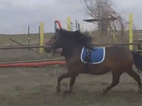 balou continue avance vite: trops intelligent beau