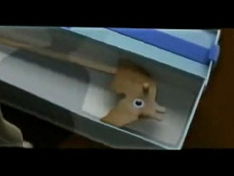 The Piano - Amazing Short