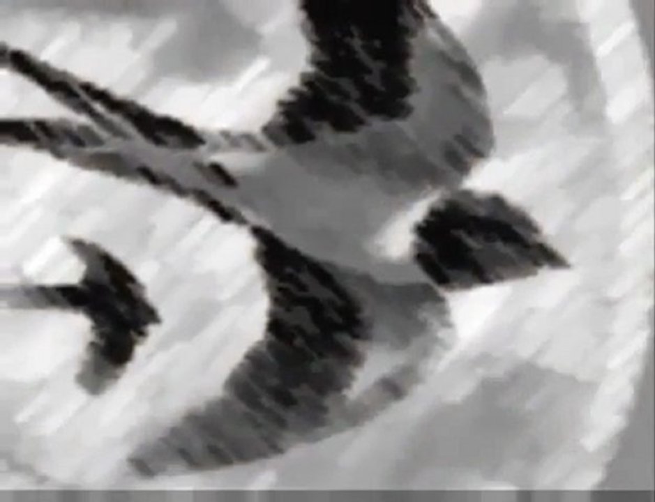 Kırlangıcın Öyküsü CAn Dündar